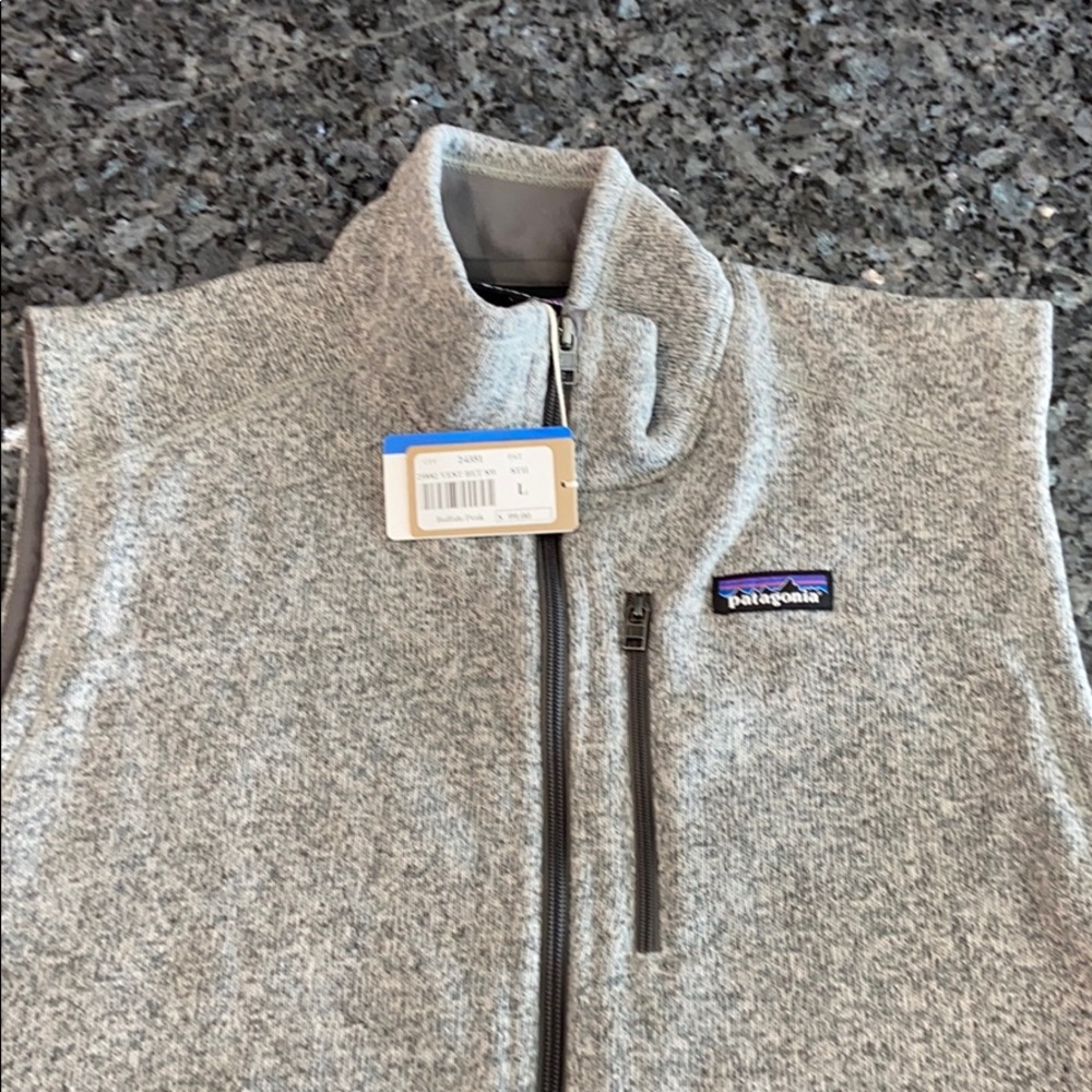 Men’s gray zip Patagonia vest